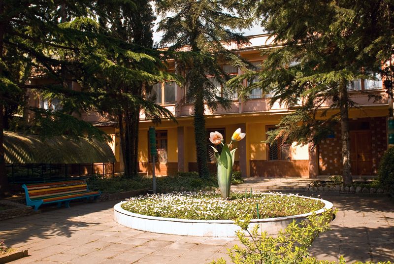 Светлана