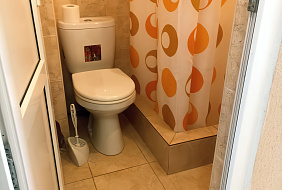 Фото Гостевой дом «Сосновый Двор»