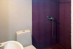 Фото Гостевой дом «Пальмовая Гавань»