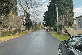 Фото Гостевой дом «Пальмовая Гавань»