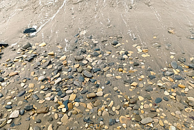 Фото Гостевой дом «Рио»