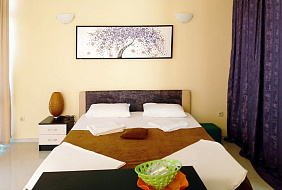 Фото Мини-гостиница «Цитрус»