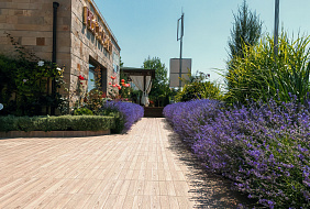 Фото Отель «Александра» (раннее бронирование до 30.04.2026)